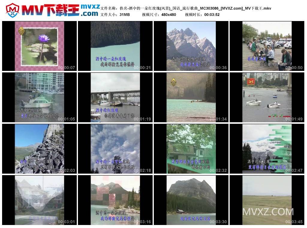 佚名-酒中的一朵红玫瑰(风景)_国语_流行歌曲_MC303086